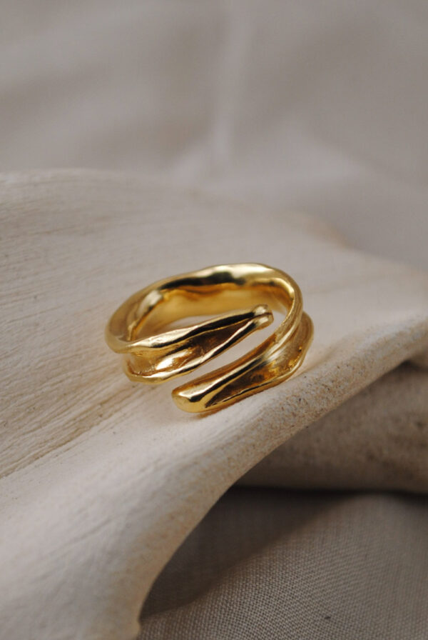 Anillo Séquia - Imagen 2