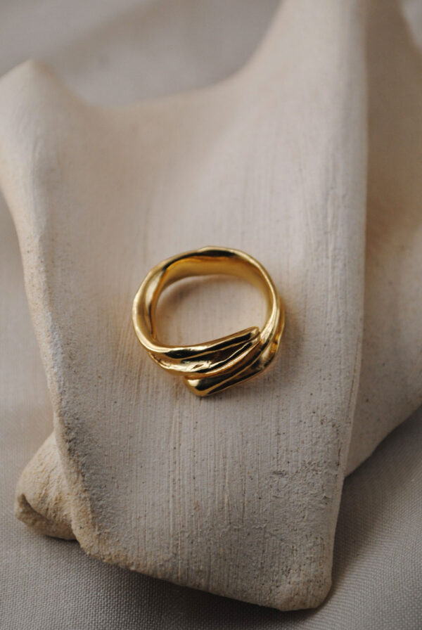 Anillo Séquia - Imagen 3