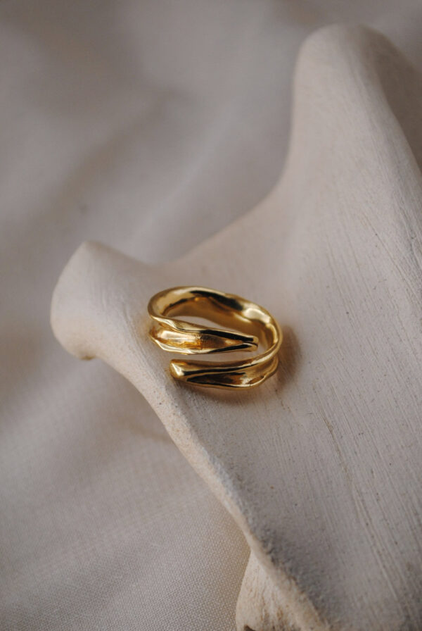 Anillo Séquia - Imagen 4
