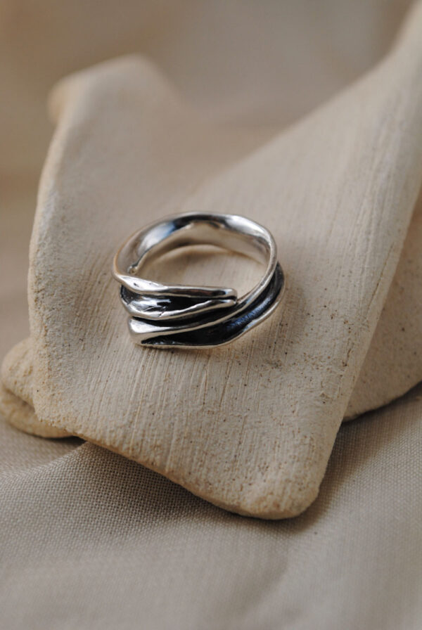 Anillo Séquia
