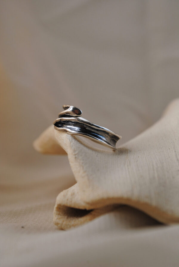 Anillo Séquia - Imagen 6