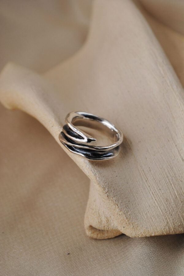 Anillo Séquia - Imagen 7