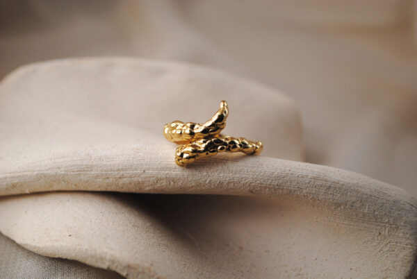 Anillo Sibila - Imagen 2