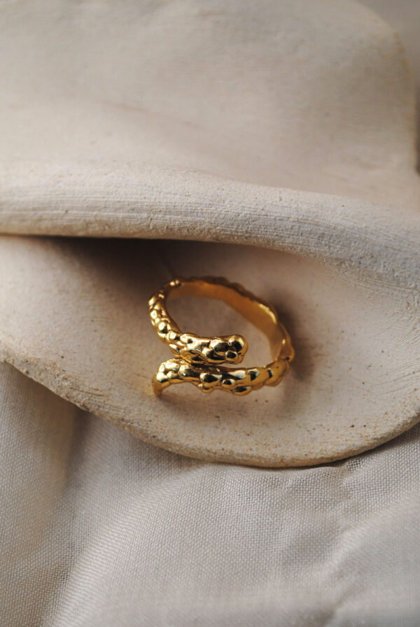 Anillo Sibila - Imagen 3