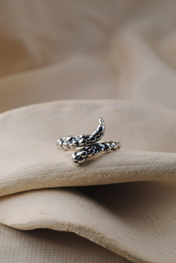 Anillo Sibila