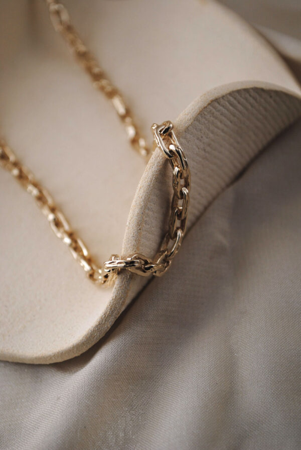 Collar Sam - Imagen 7