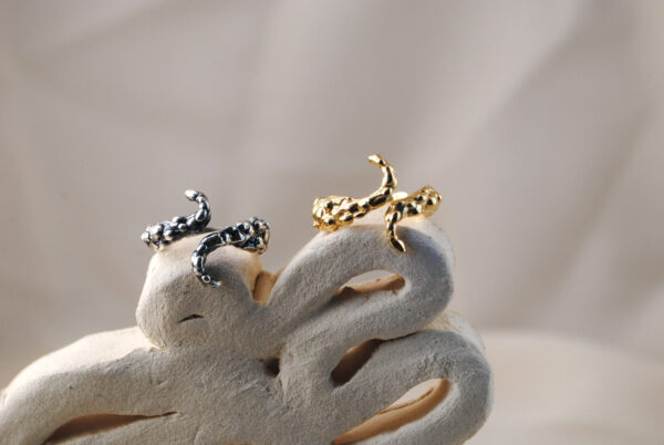 Anillo Gaia - Imagen 4