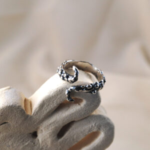 Anillo Gaia