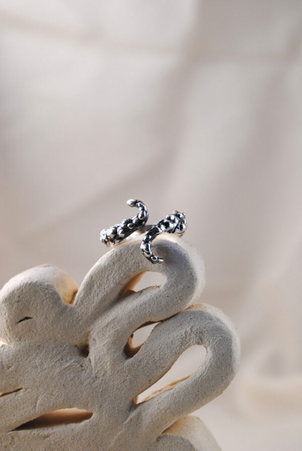 Anillo Gaia - Imagen 5