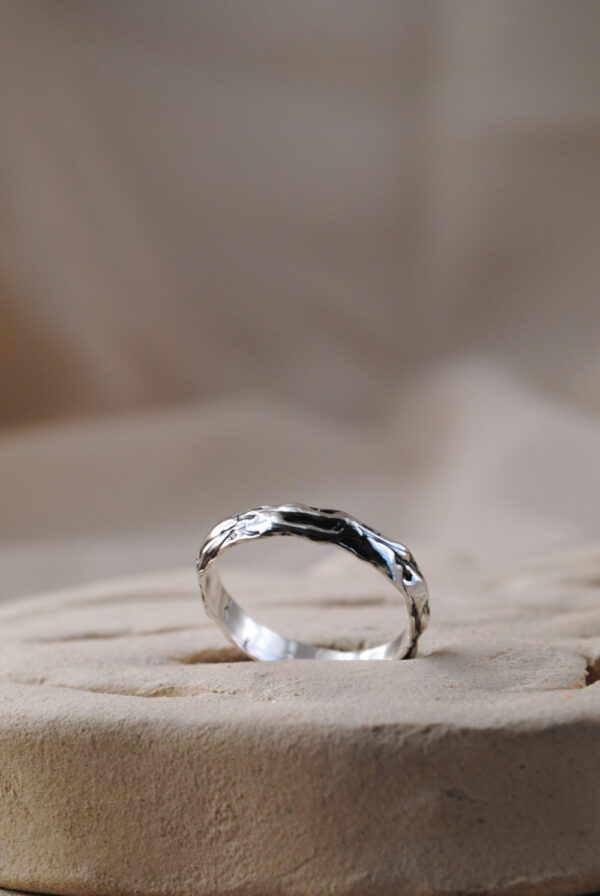 Anillo Tam