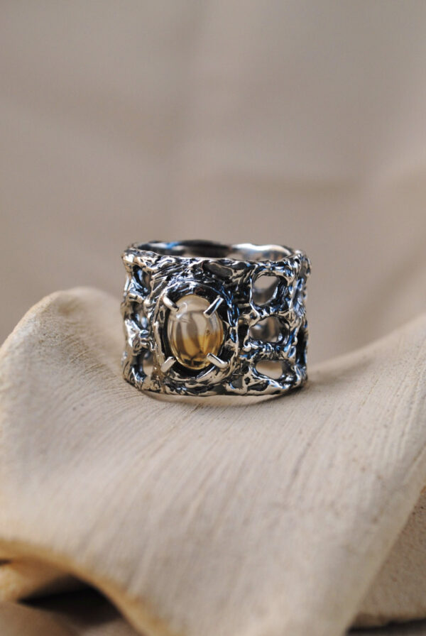 Anillo Tambora - Imagen 2