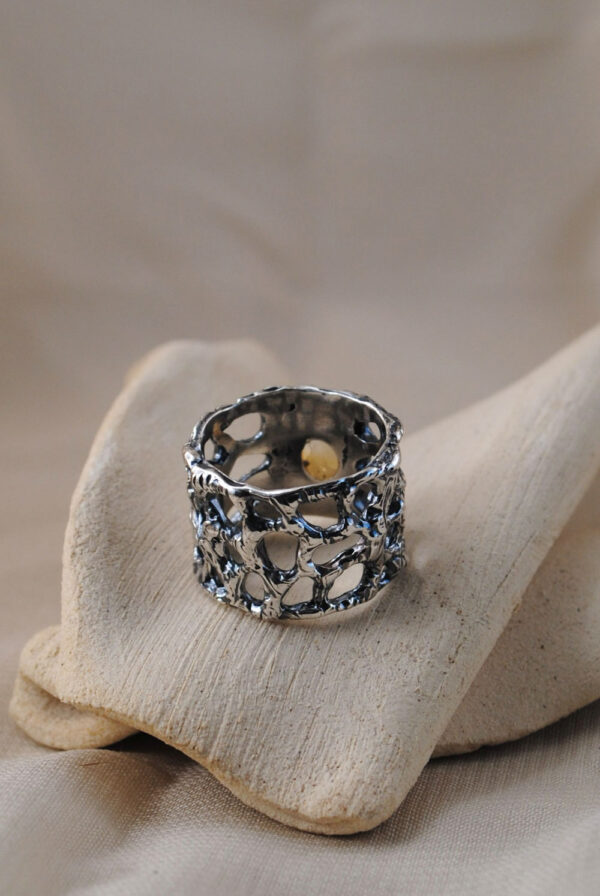 Anillo Tambora - Imagen 3