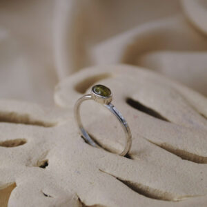 Anillo Tierra