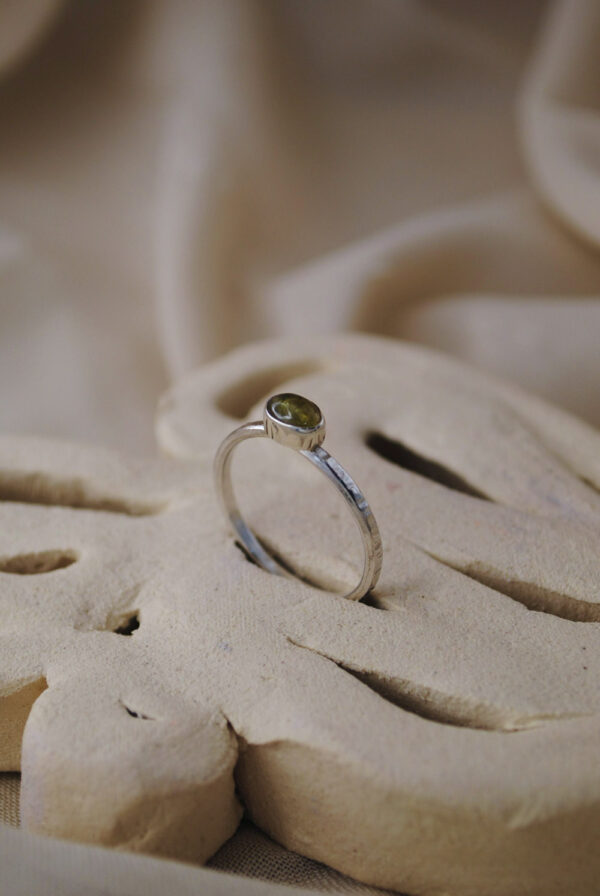 Anillo Tierra