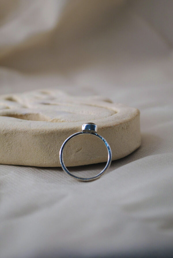 Anillo Tierra - Imagen 2