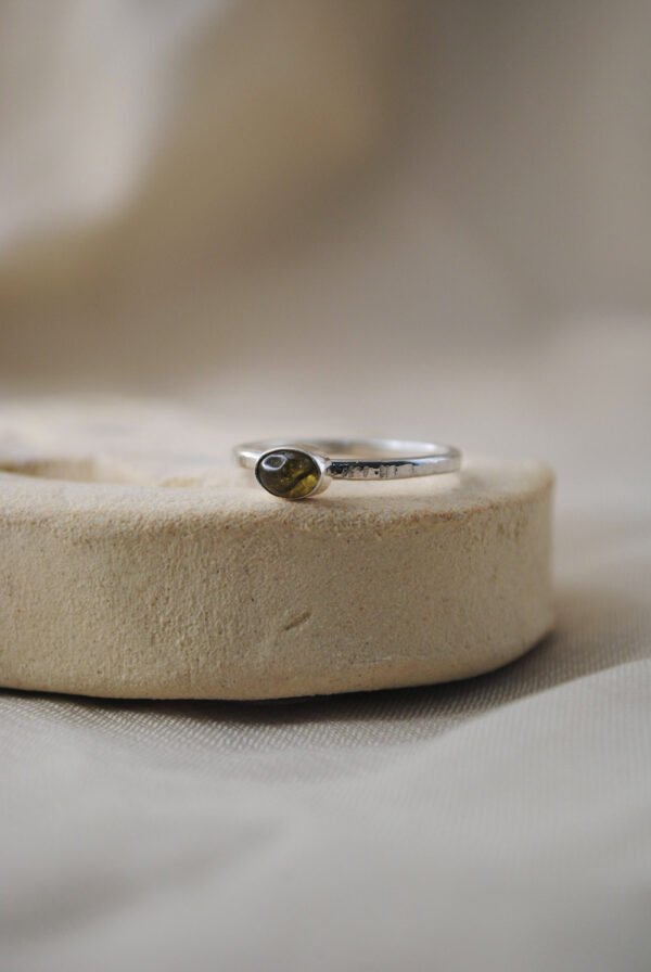 Anillo Tierra - Imagen 3