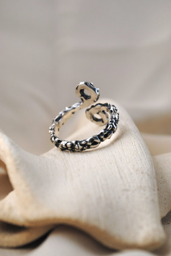 Anillo Vesubio - Imagen 3