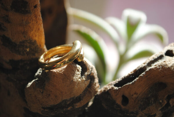 Anillo Cruzado - Imagen 6