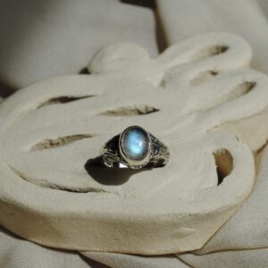 Anillo Cúpula